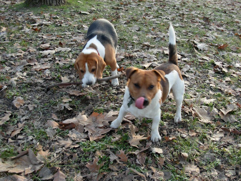 Max e Nike